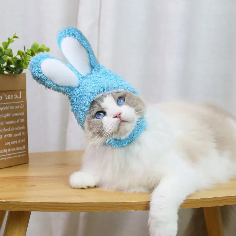 Bonnet lapin pour chat