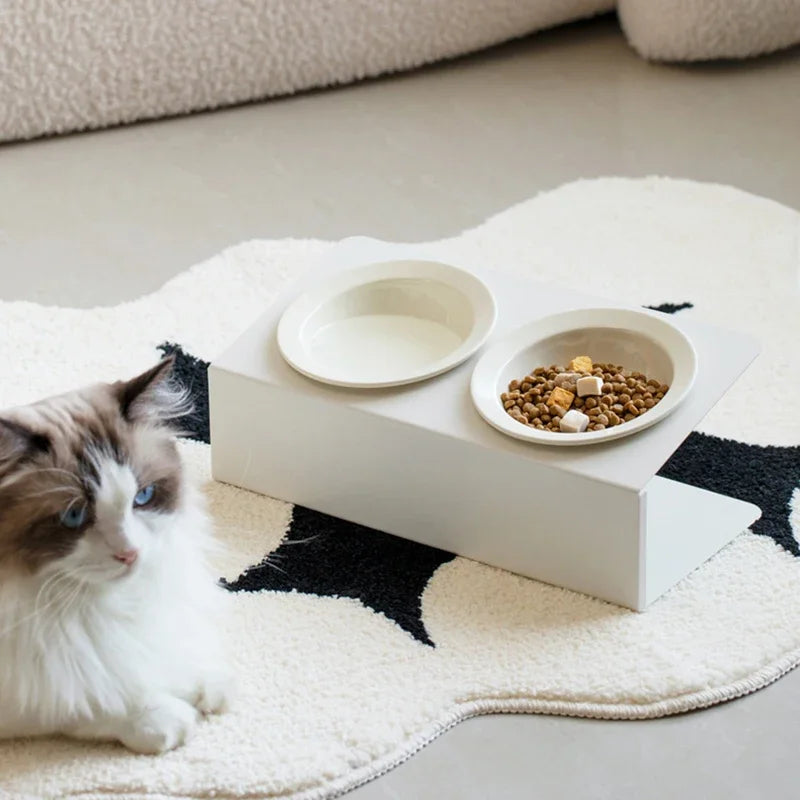 Gamelle inclinée pour chat