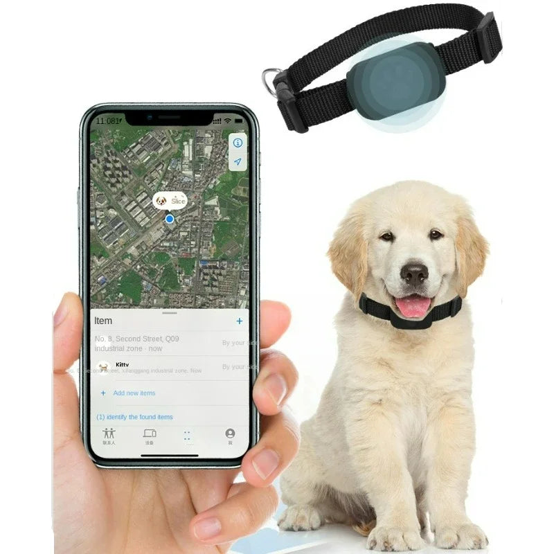 Collier GPS Étanche pour Chats