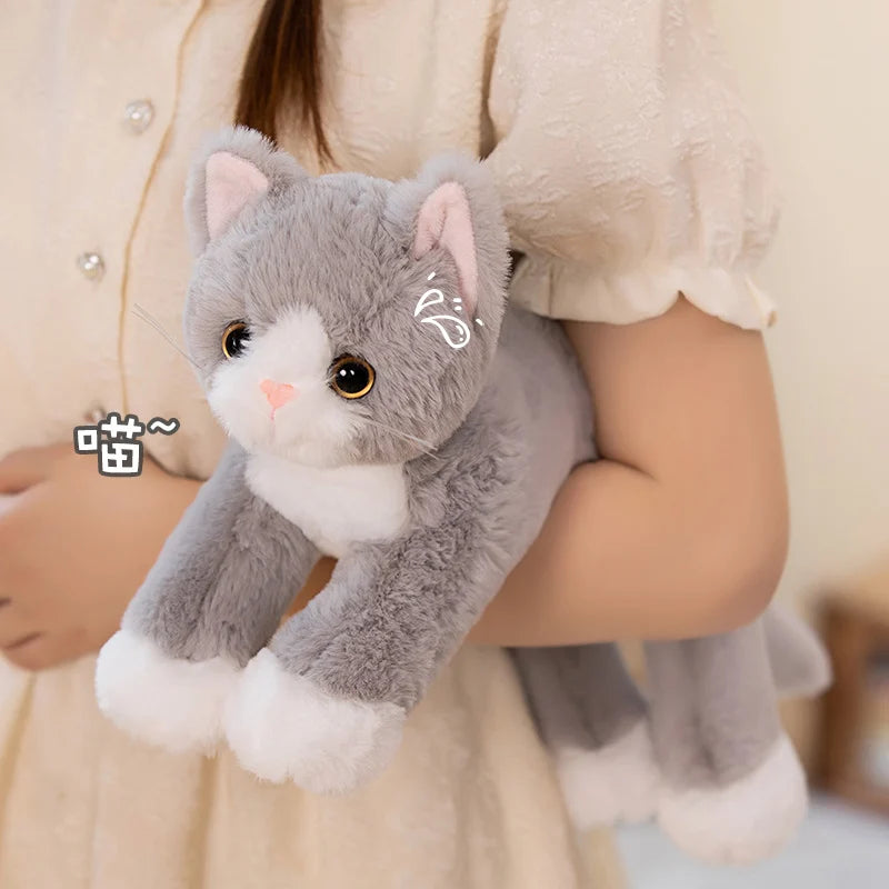 Peluche Chaton Gris et Blanc