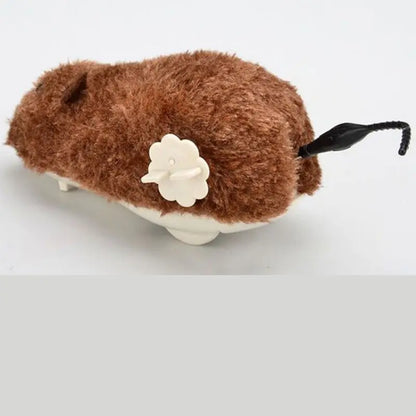 Souris Pour Chat