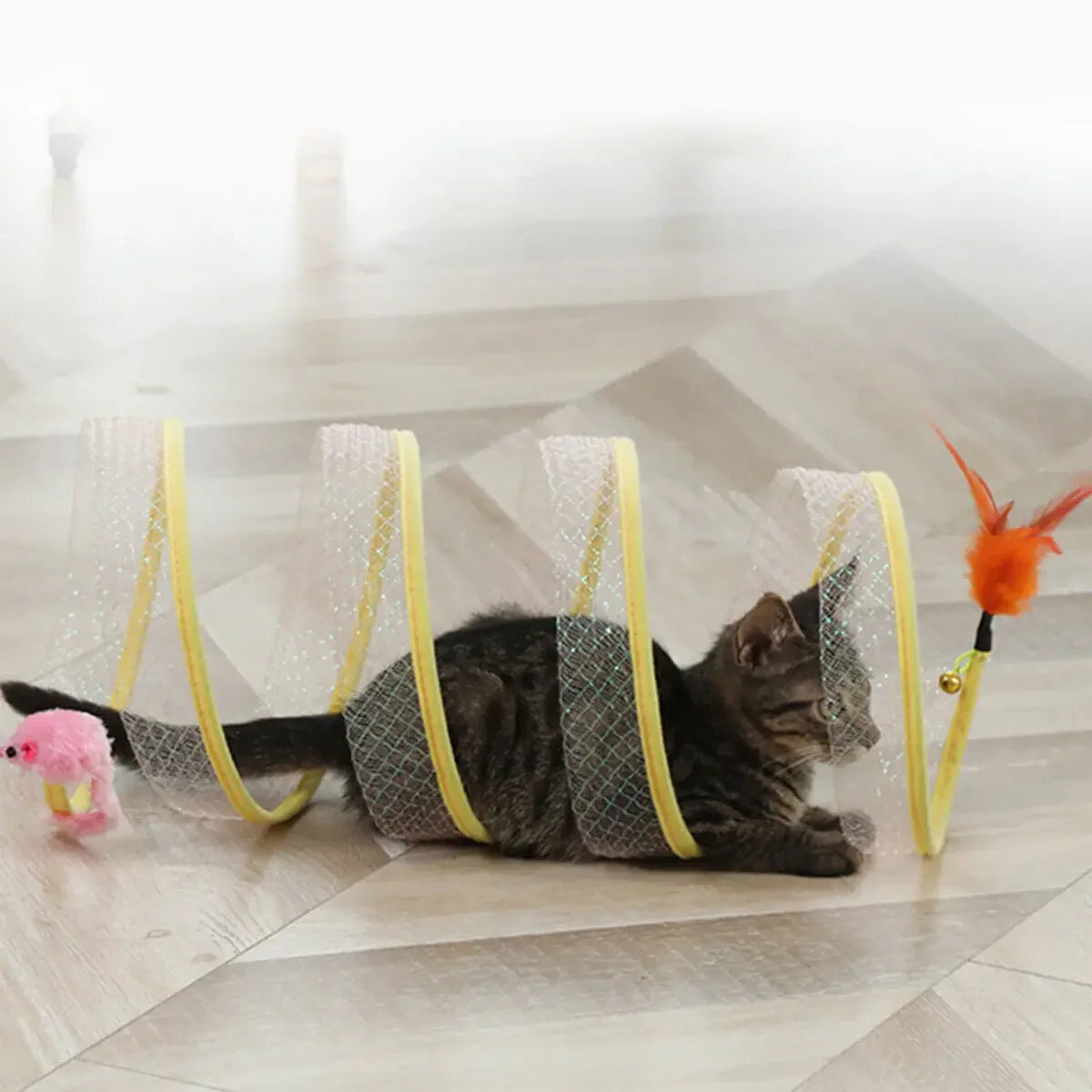 Jouets Pour Exercice Pour Chats