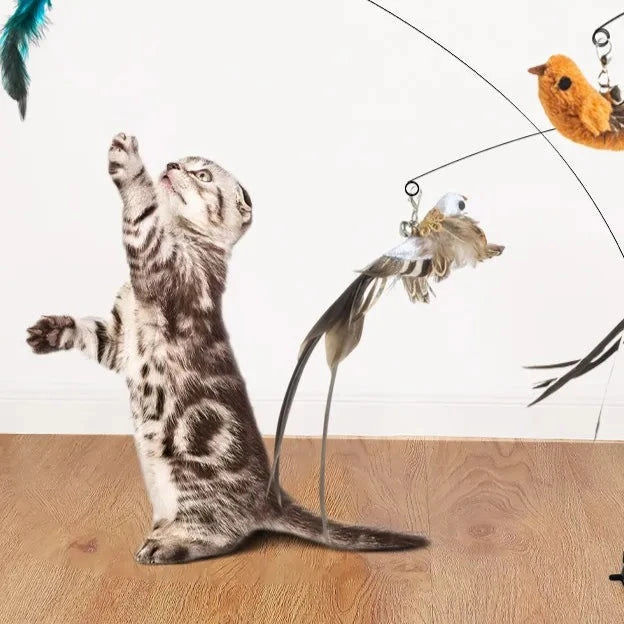 Meilleurs Jouets Pour Chats