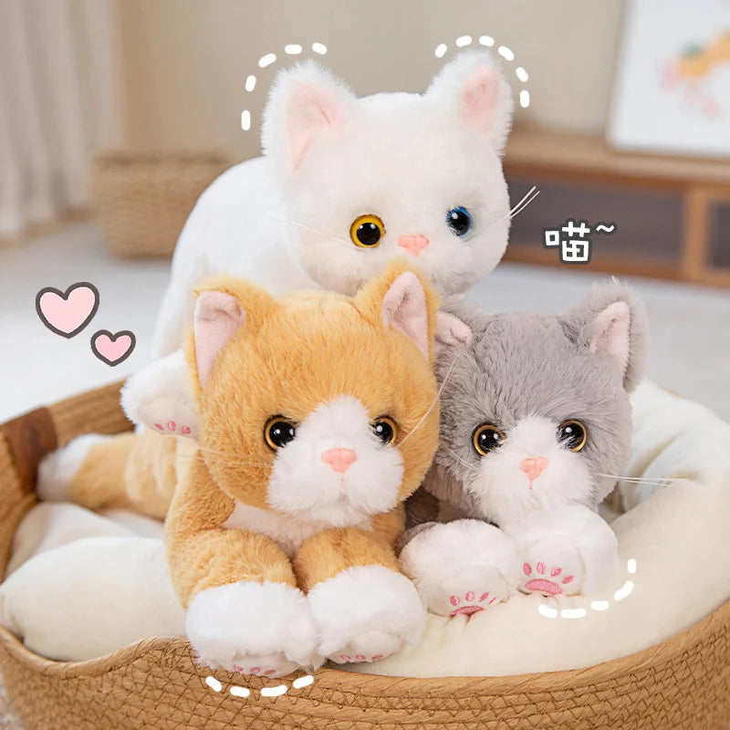 Peluche Chaton Gris et Blanc