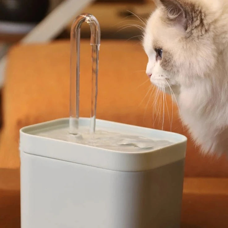 Fontaine à Eau Pour Chat Silencieuse