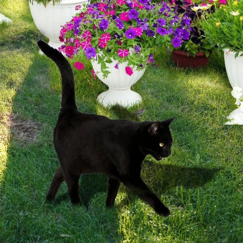 Piquet de Jardin Chat Noir