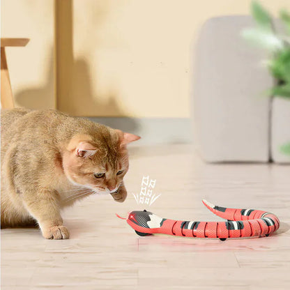 Jouet Serpent Pour Chat