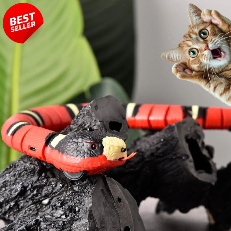 Jouet Serpent Pour Chat